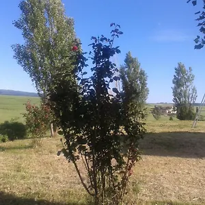 I Greppioli , Podere del Pozzo Italia